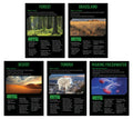 Ecosystems 5-Poster Set