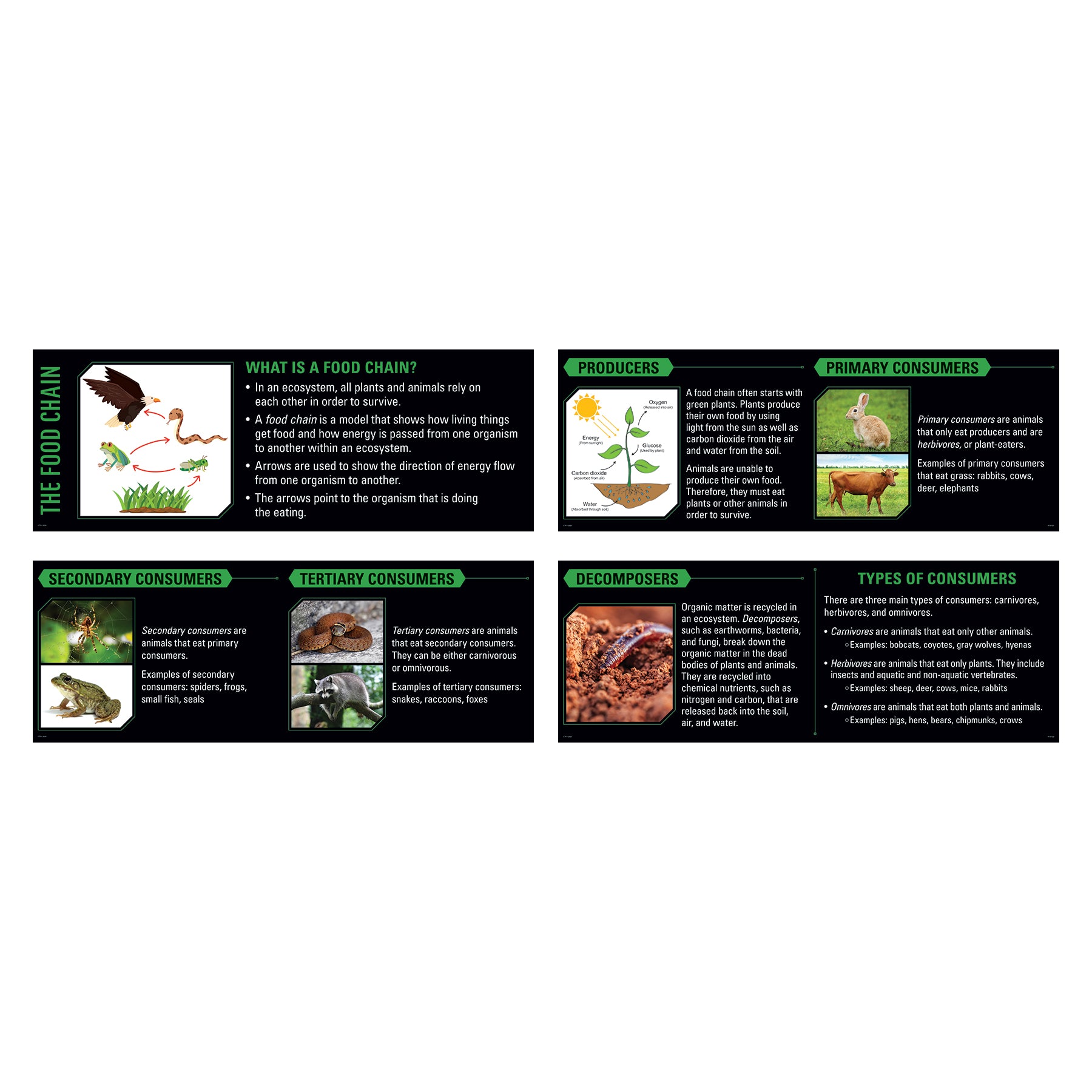 Ecosystems Whiteboard Topper