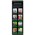 Ecosystems Giant Banner