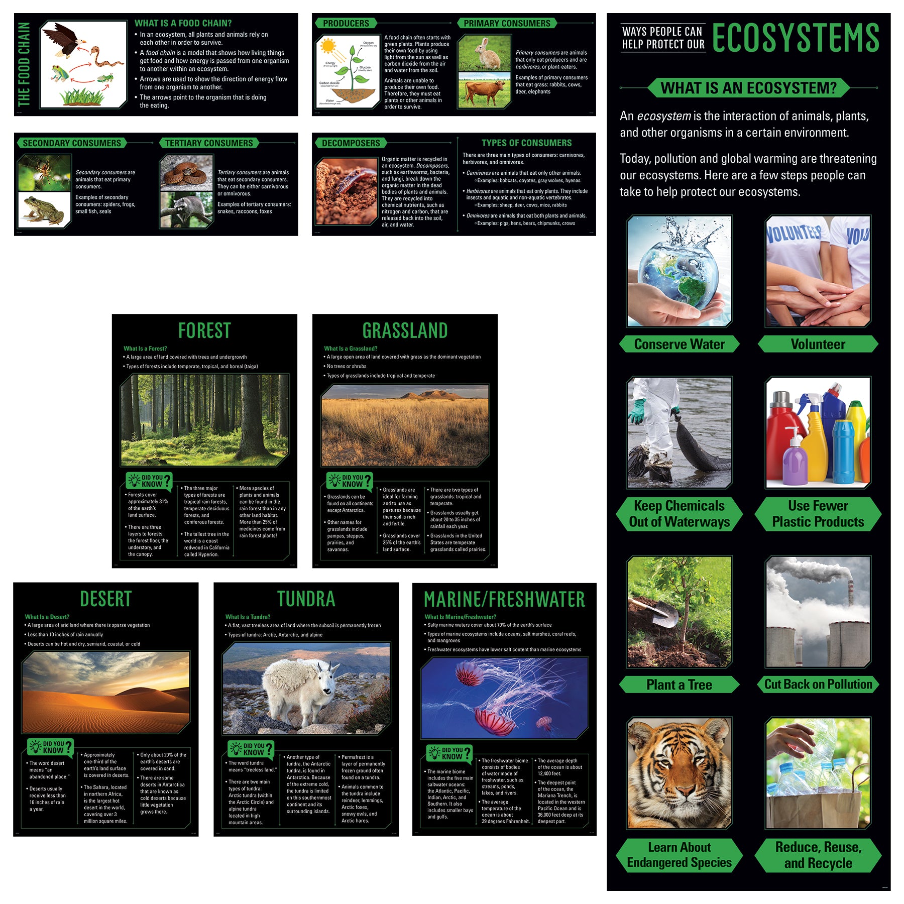 Ecosystems Essentials Pack