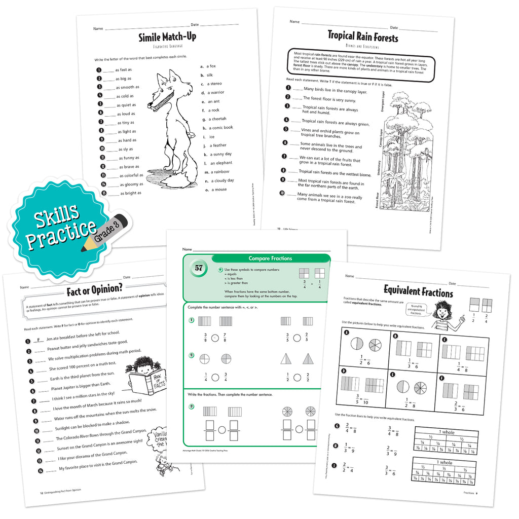 Grade 3 Skills Practice Bundle 4