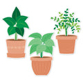 Potted Plants 6" Designer Cut-Outs