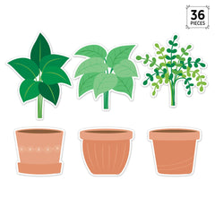 Potted Plants 6