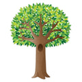 Apple Time Jumbo Tree Bulletin Board