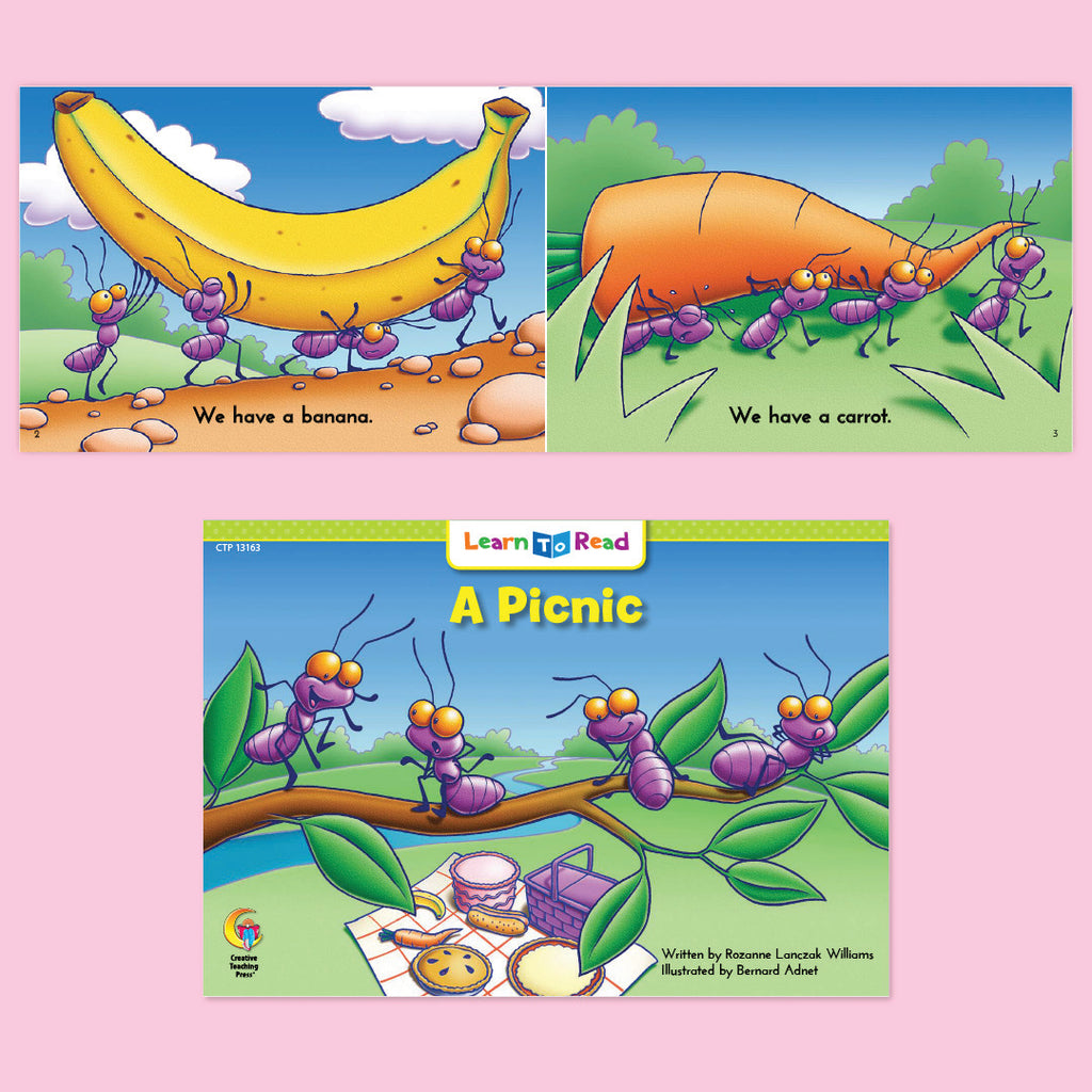 A Picnic and a Weather Check, Kindergarten Set 10