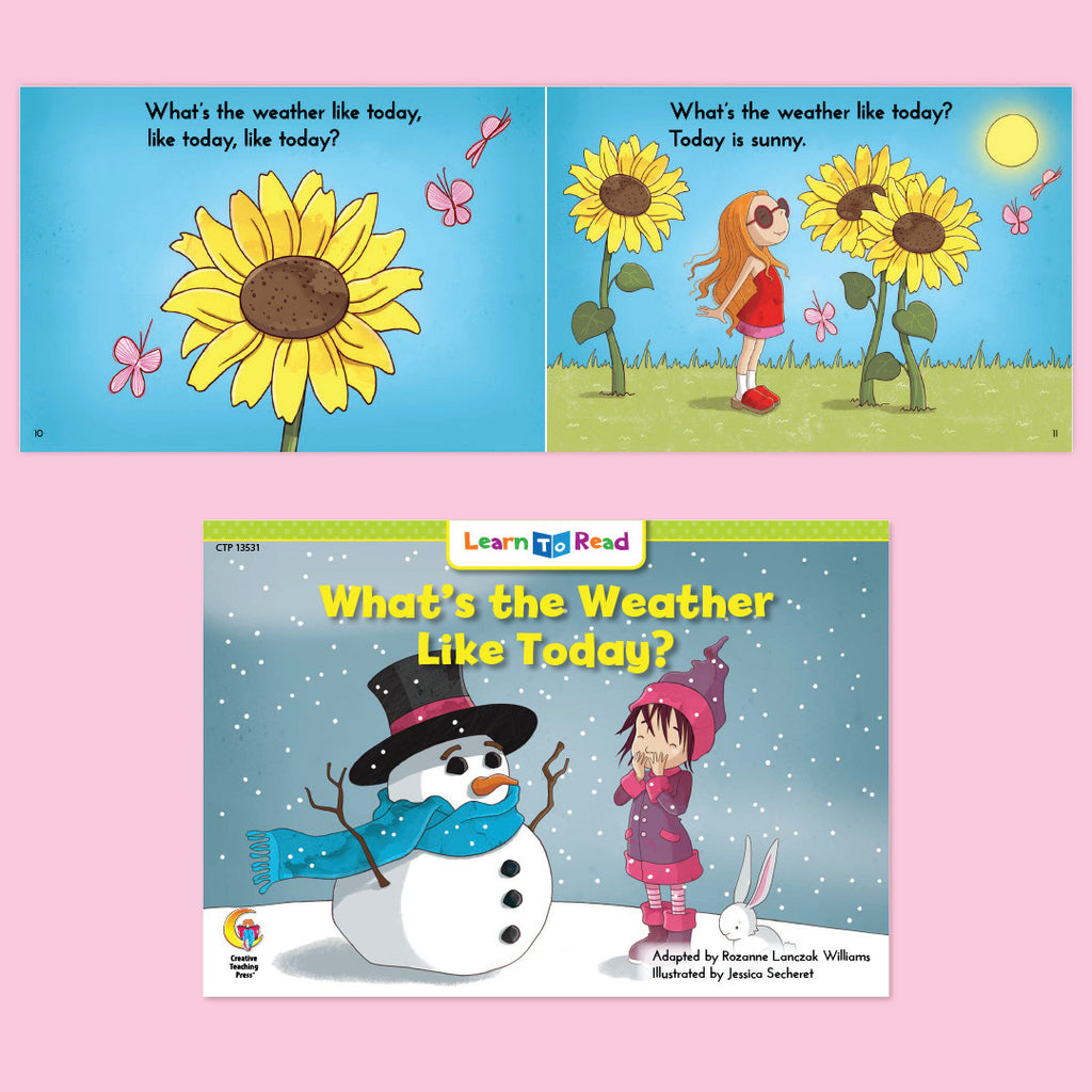 A Picnic and a Weather Check, Kindergarten Set 10