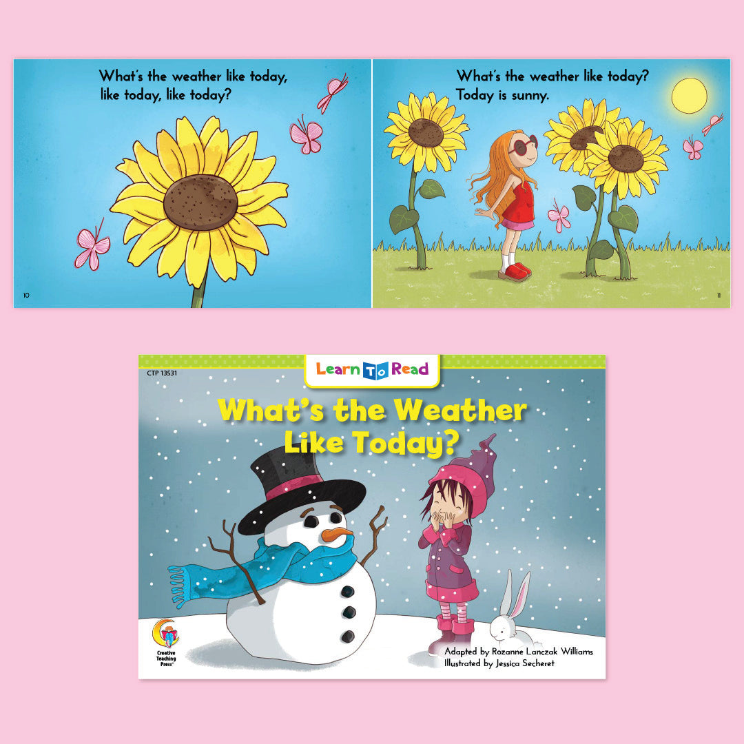 A Picnic and a Weather Check, Kindergarten Set 10