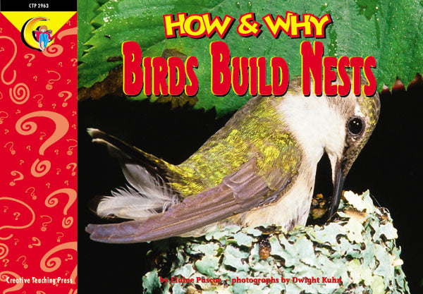 Birds Build Nests