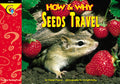 Seeds Travel