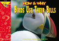 Birds Use Their Bills