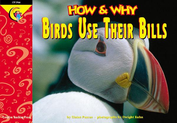Birds Use Their Bills