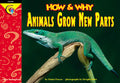 Animals Grow New Parts