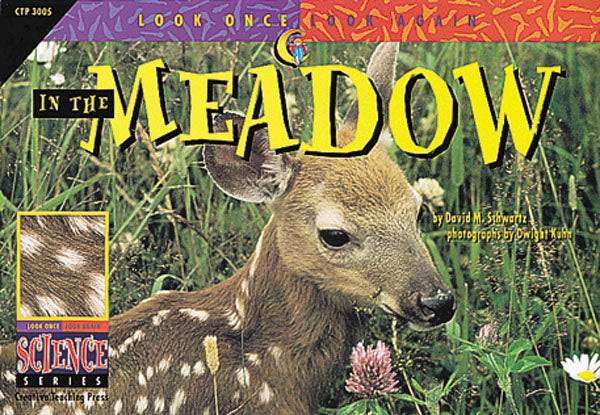 In the Meadow