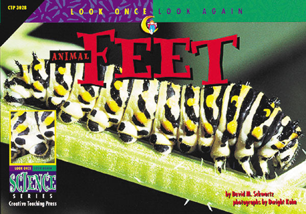 Animal Feet