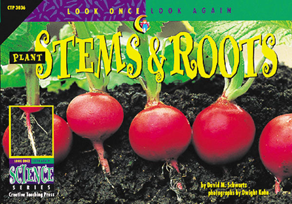 Plant Stems & Roots