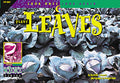 Plant Leaves