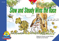 Slow and Steady Wins the Race