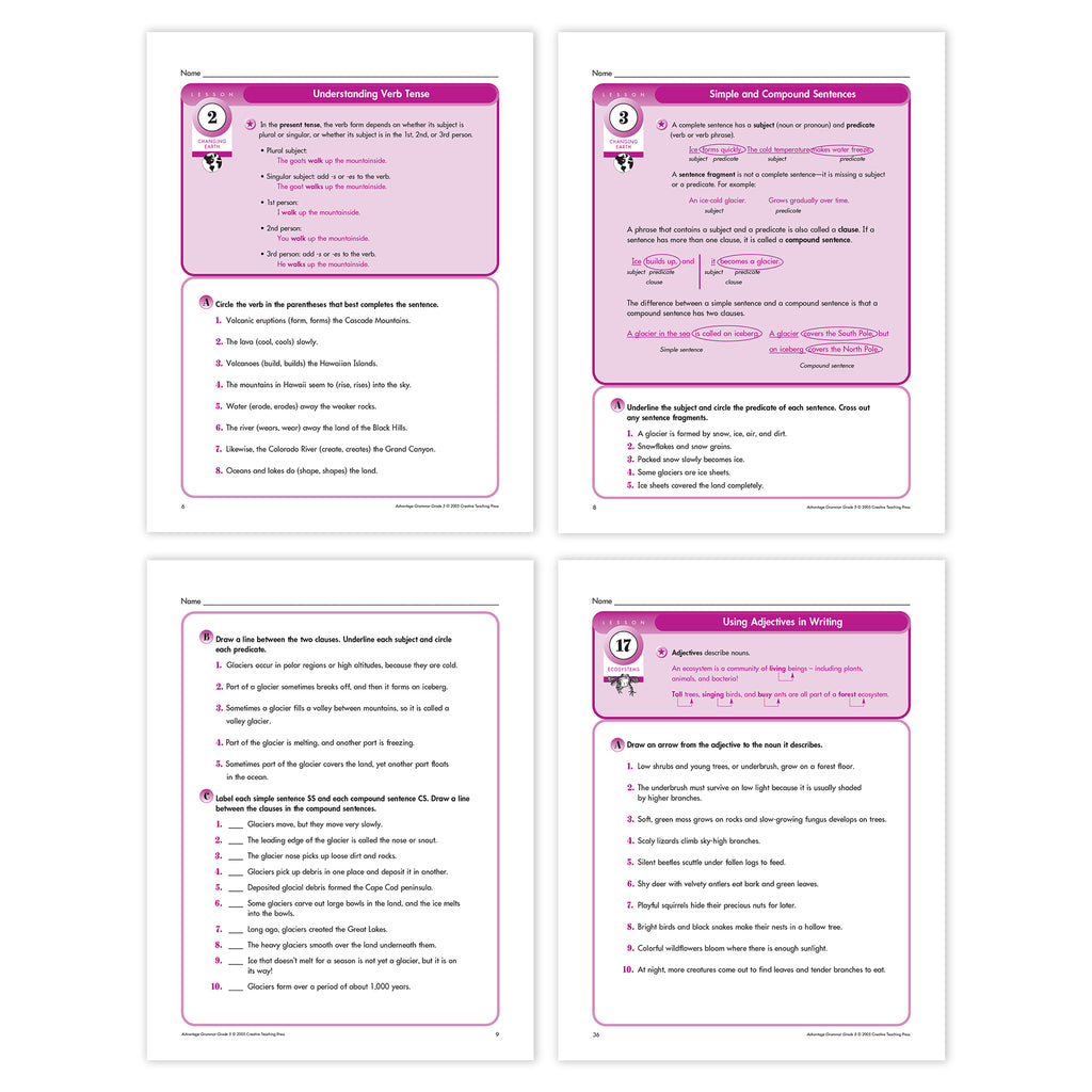Grammar Grade 5 - Advantage Workbooks Bundle
