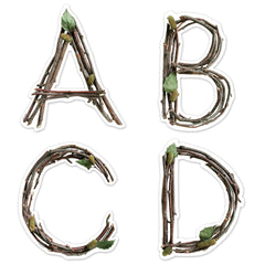 Rustic Twigs 6