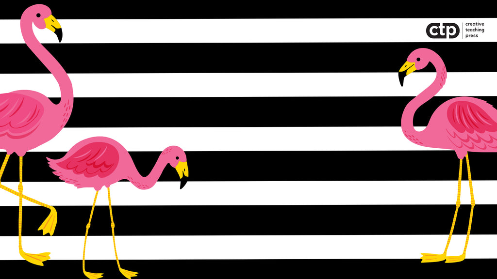 Palm Paradise Video Conferencing Backgrounds