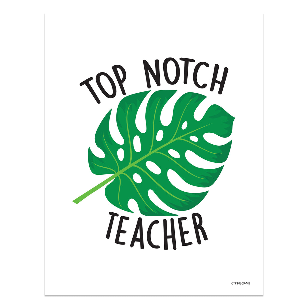 Top Notch Teacher Mini Poster