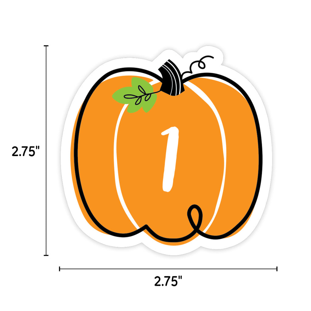 24 PC Pumpkin Pom-Poms