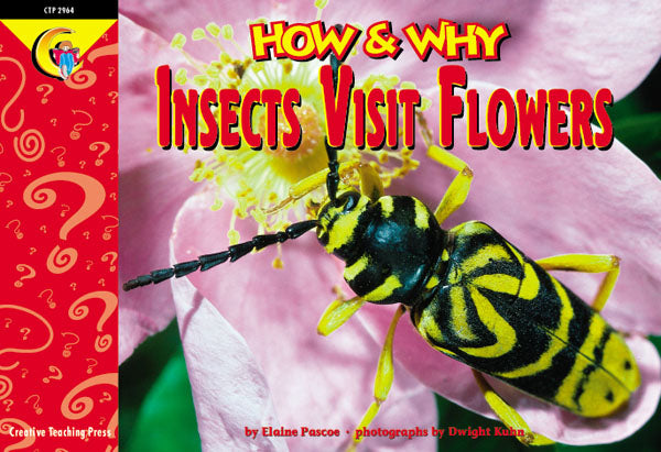 Insects Visit Flowers