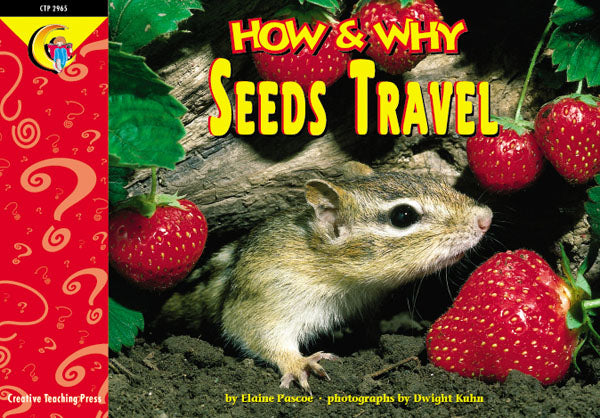 Seeds Travel
