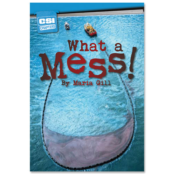 What a Mess! interactive eBook